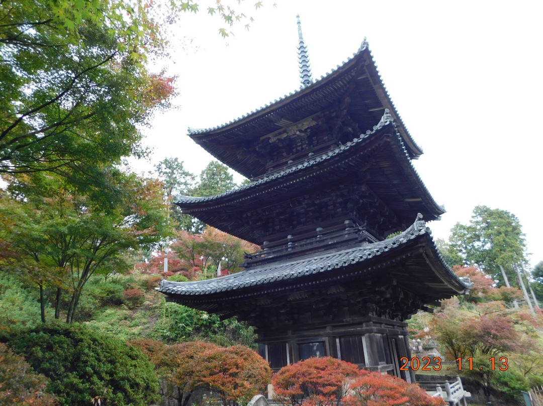 Joraku-ji Temple 3 Storey Tower-湖南市必去景点