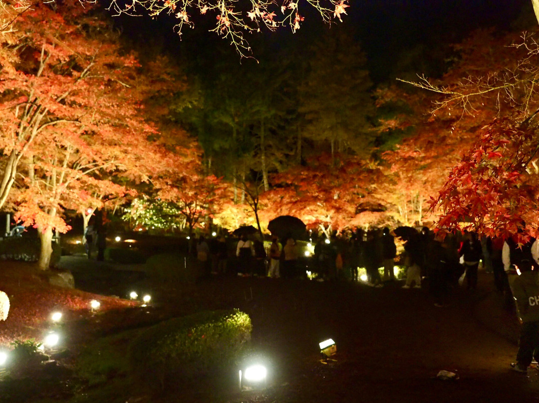 Sogi Park-土岐市必去景点