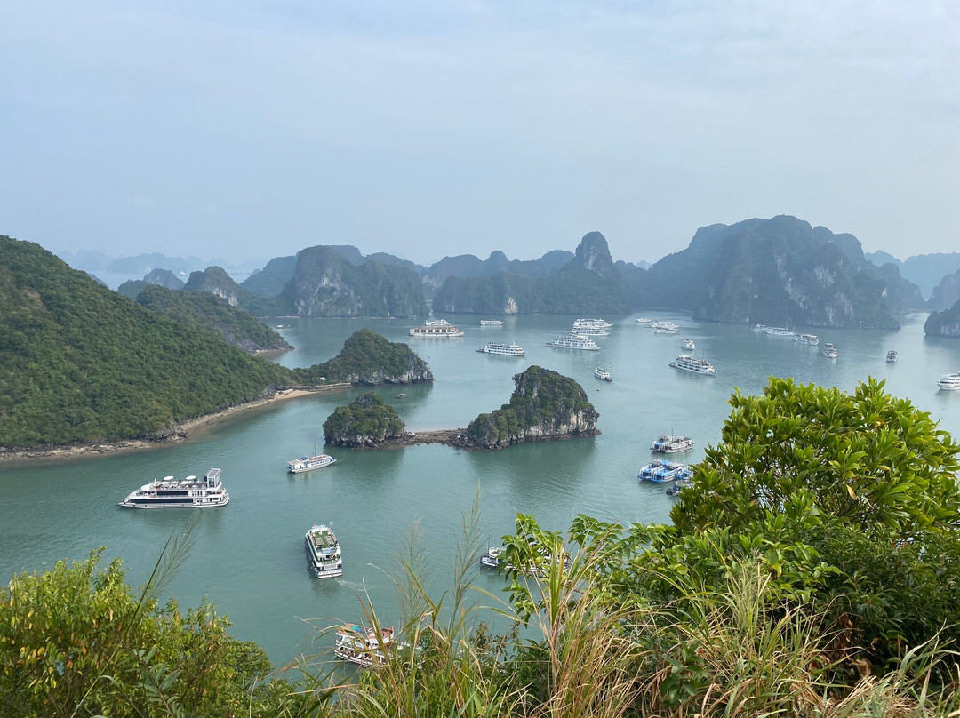 Legacy Voyages Vietnam-下龙湾必去景点