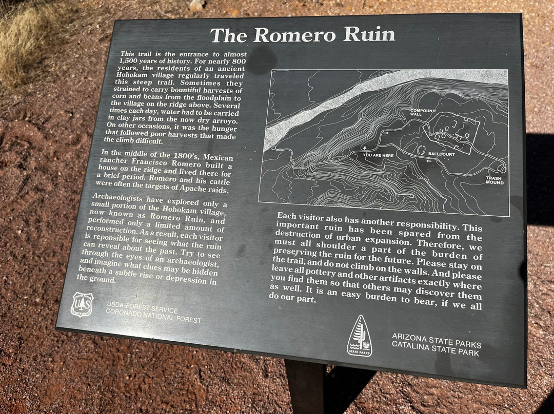 Catalina State Park-图森必去景点