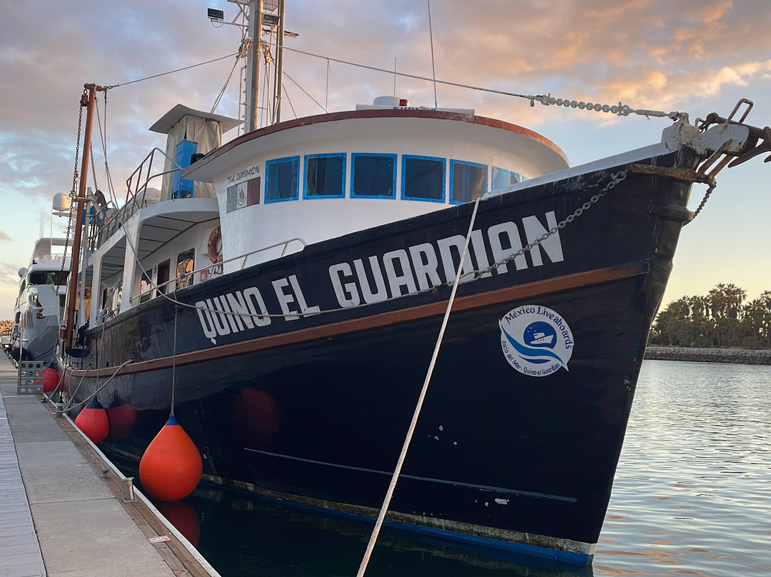 Quino el Guardian-圣何塞卡波必去景点