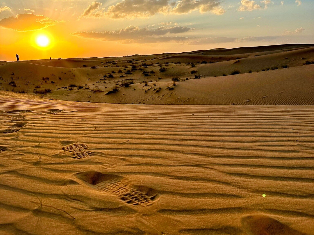 阿拉伯沙丘之旅景点图片