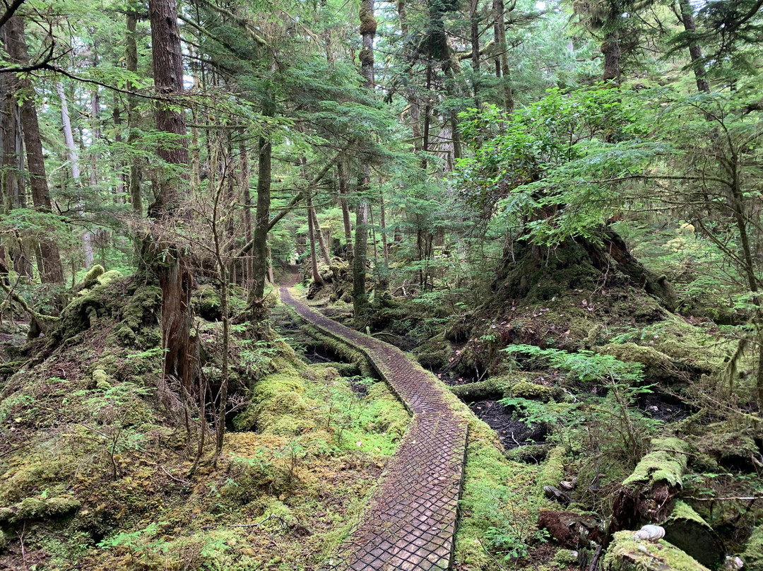 Cape Fife Trail-Masset必去景点
