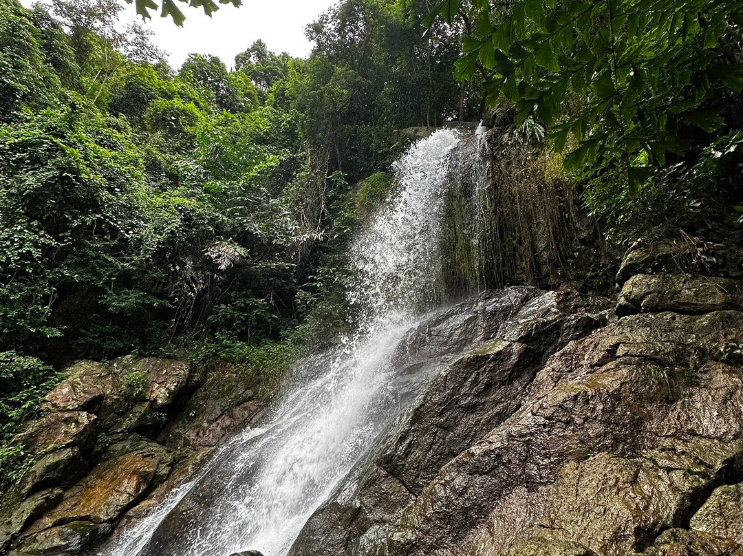 Tan Rua Waterfall景点图片