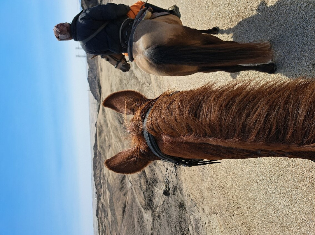 Okakambe Trails-斯瓦科普蒙德必去景点