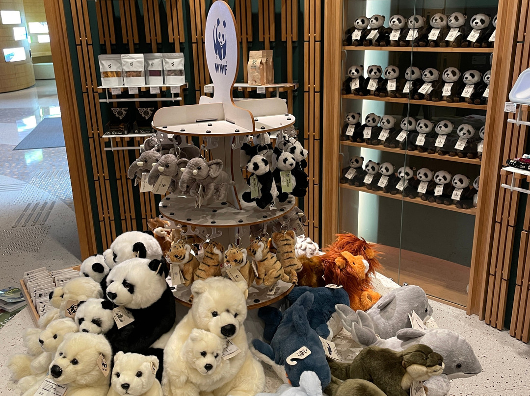 米埔自然保护区-香港必去景点