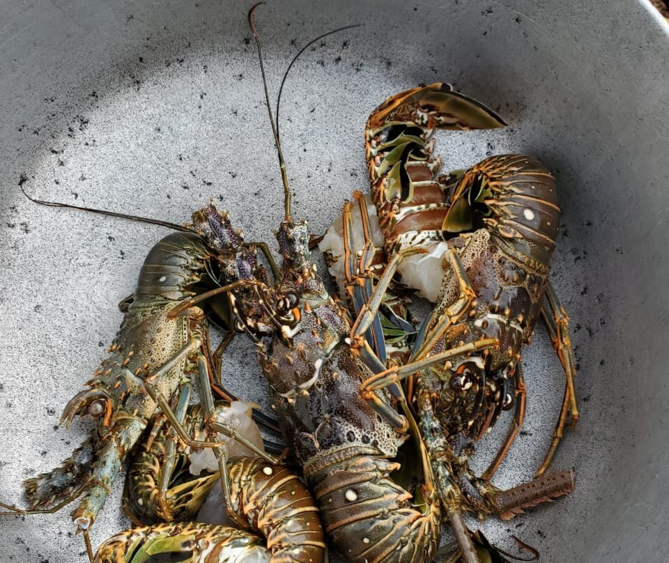 Casa Villa Mar y Esperanza主图