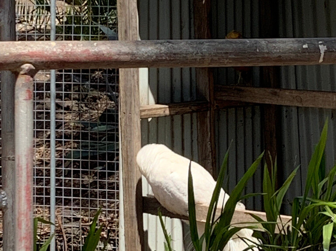 Barrabool Maze Estate-Barrabool必去景点