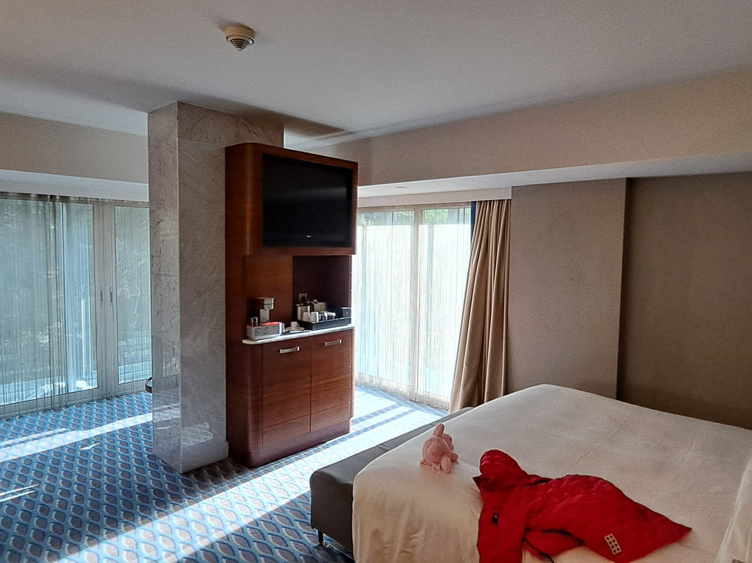 Renaissance Izmir Hotel主图