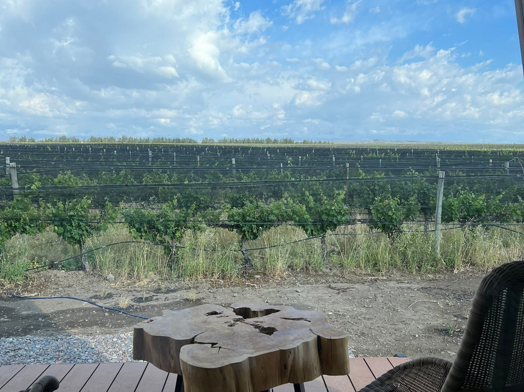 Andeluna Winery Lodge