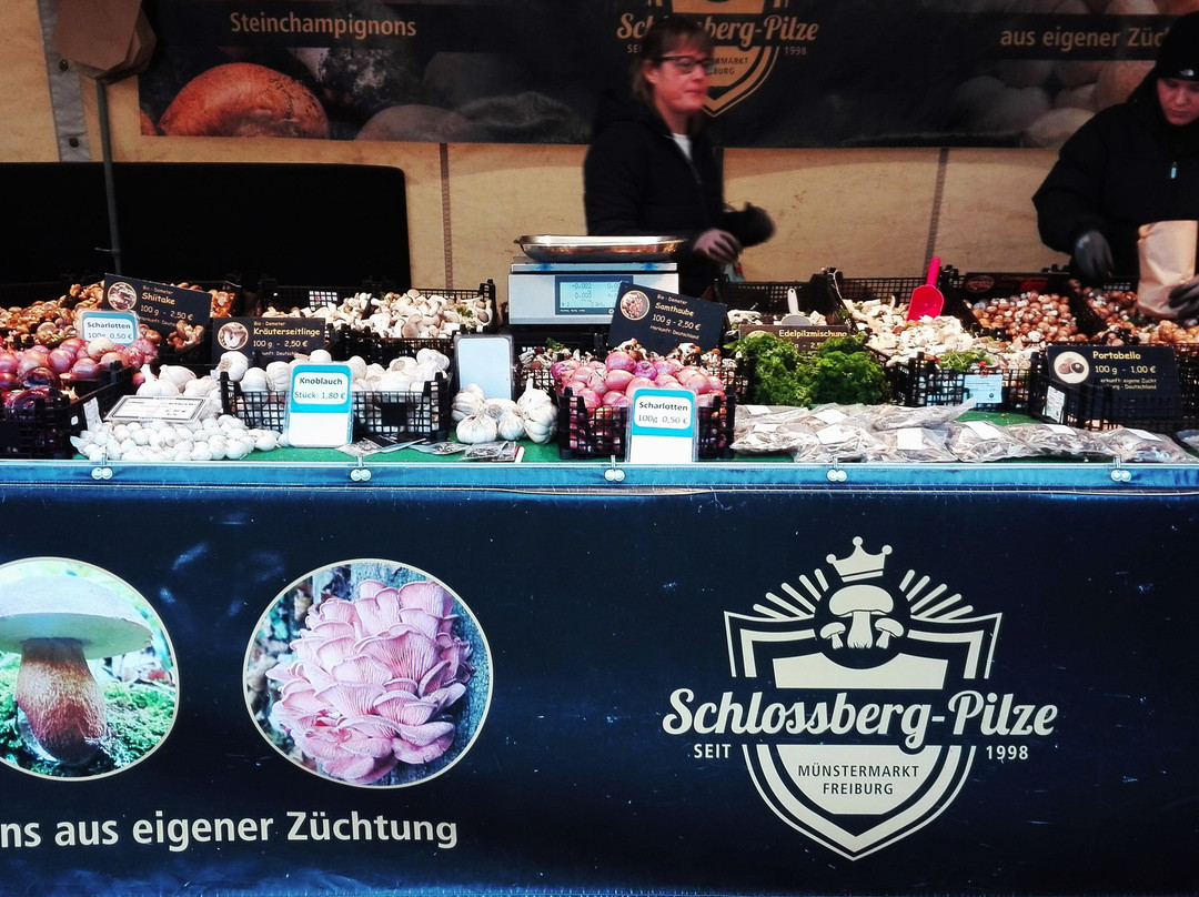 Freiburger Muenstermarkt-佛莱堡必去景点