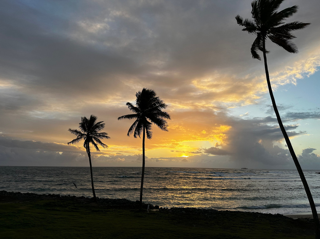 Magdalena Grand Beach & Golf Resort主图