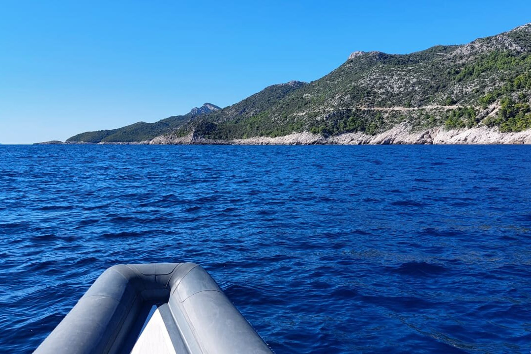 Feel Adriatic Nature Boat Tours Zadar景点图片