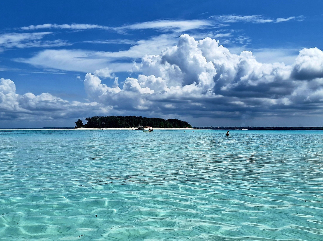 Zanzibar safari and Excursion Tours-石头城必去景点
