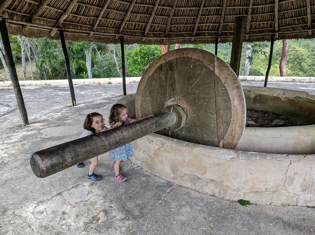 Discover Your Cuba Tour-哈瓦那必去景点