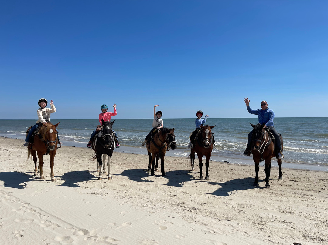 Broke A Toe Horseback Riding on the Beach-Cape San Blas必去景点