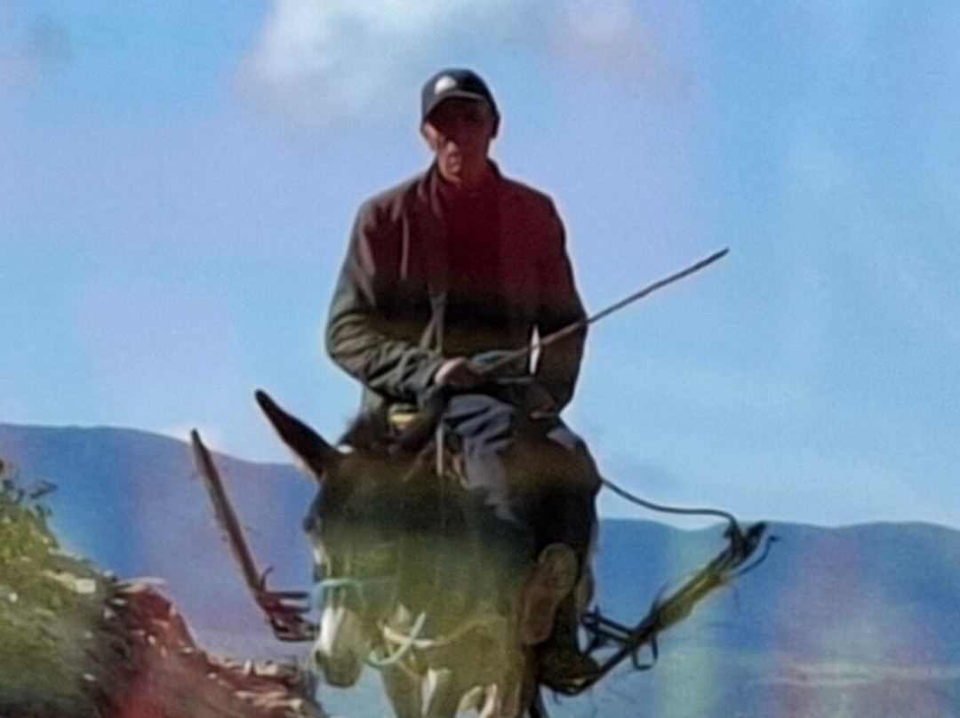 Chems Le Tazarkount主图