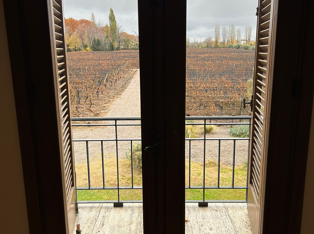 Bodega Alpamanta-路冉得库约必去景点