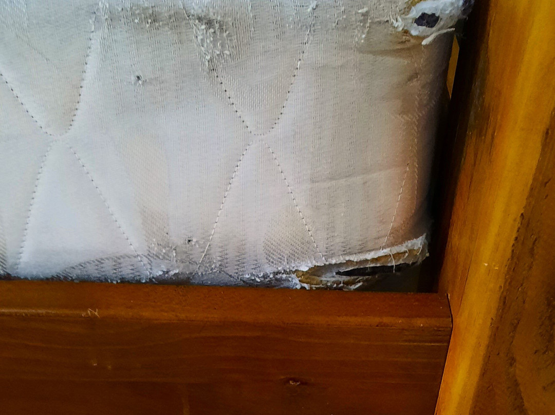 乐园塔韦马尼酒店主图