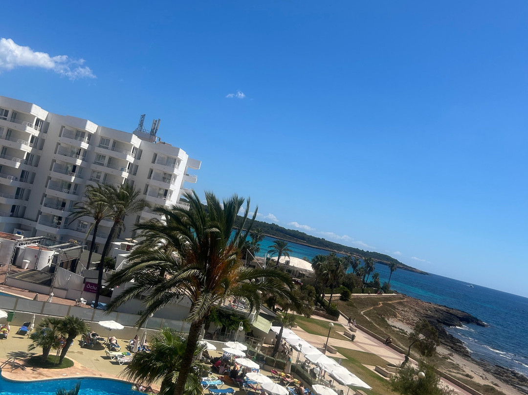 Playa Dorada Aparthotel主图
