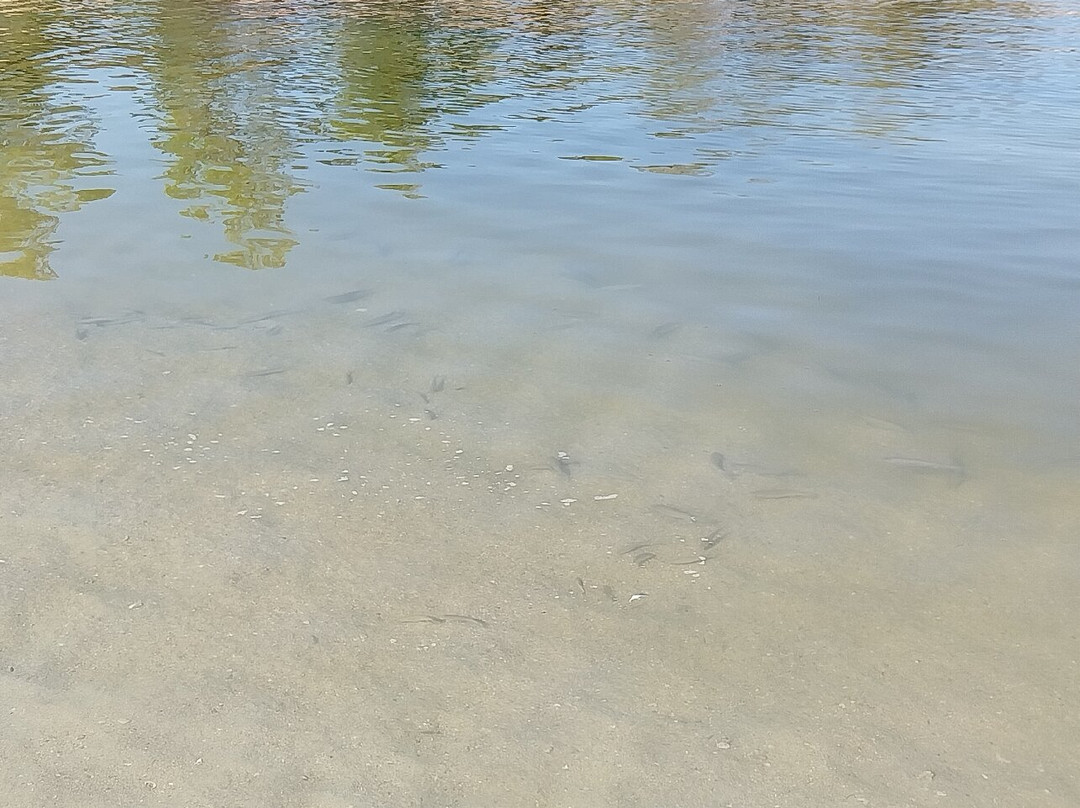 Cala Gracio景点图片