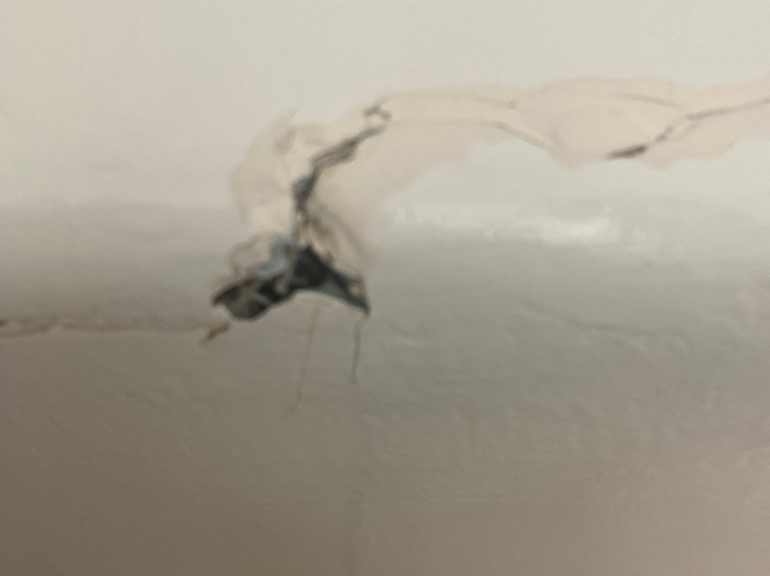 Country Inn & Suites by Radisson, Orangeburg, SC主图