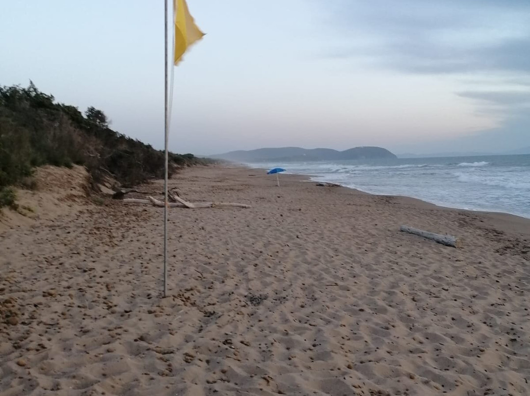 Rimigliano Coastal Park景点图片