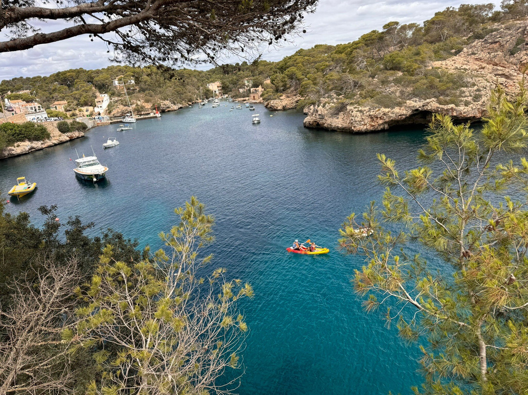 Puerto De Cala Figuera-Cala Figuera必去景点