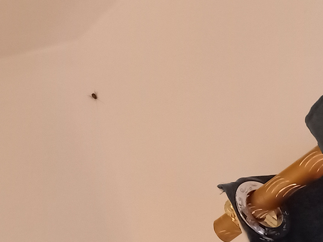 苏赫纳波图海滩水疗度假村