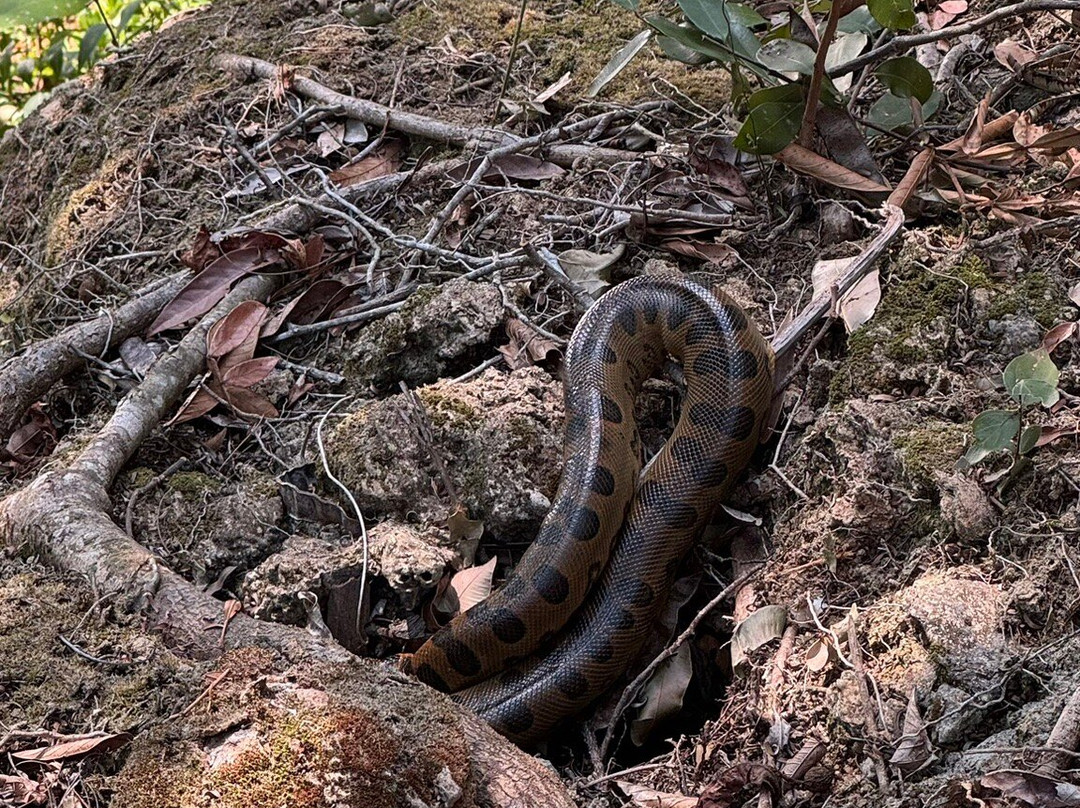 Aquário de Bonito-博尼图必去景点