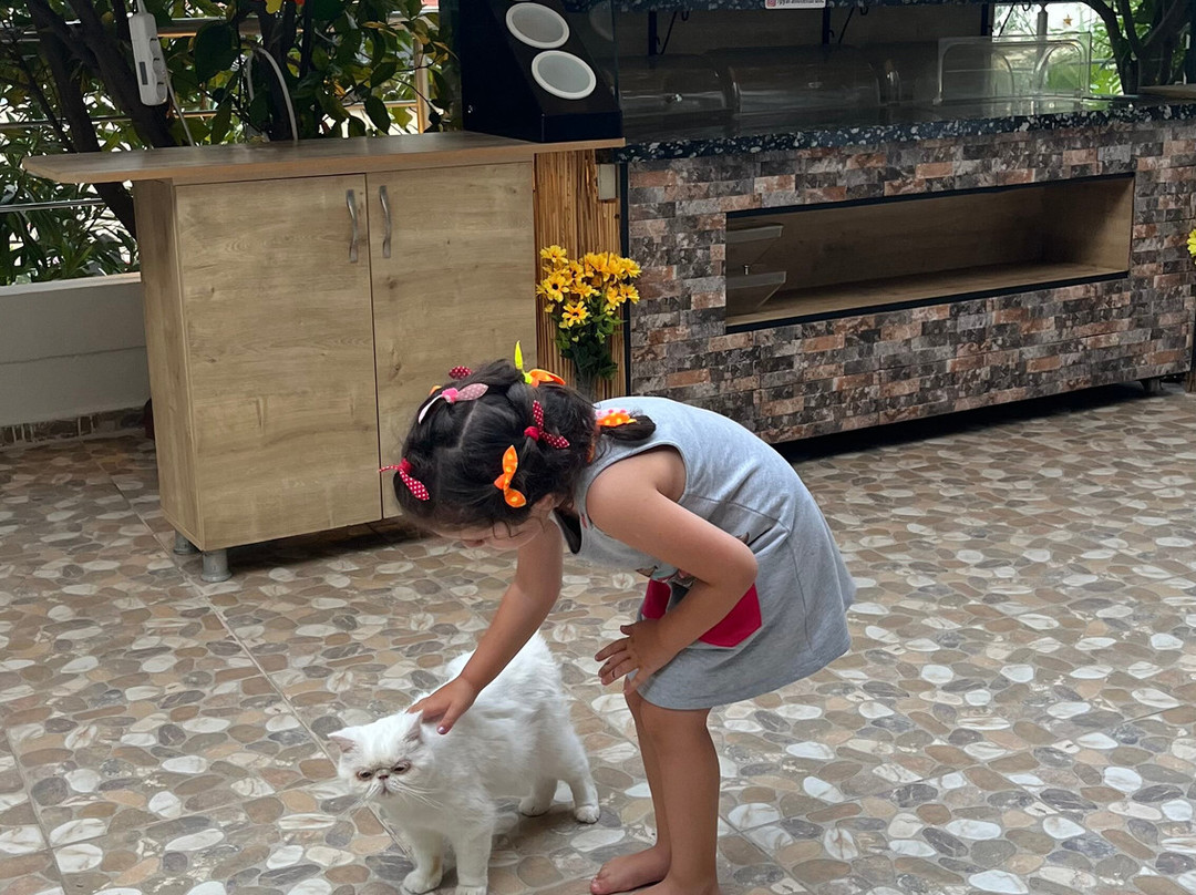 Eden Pyara Hotel Turunc主图