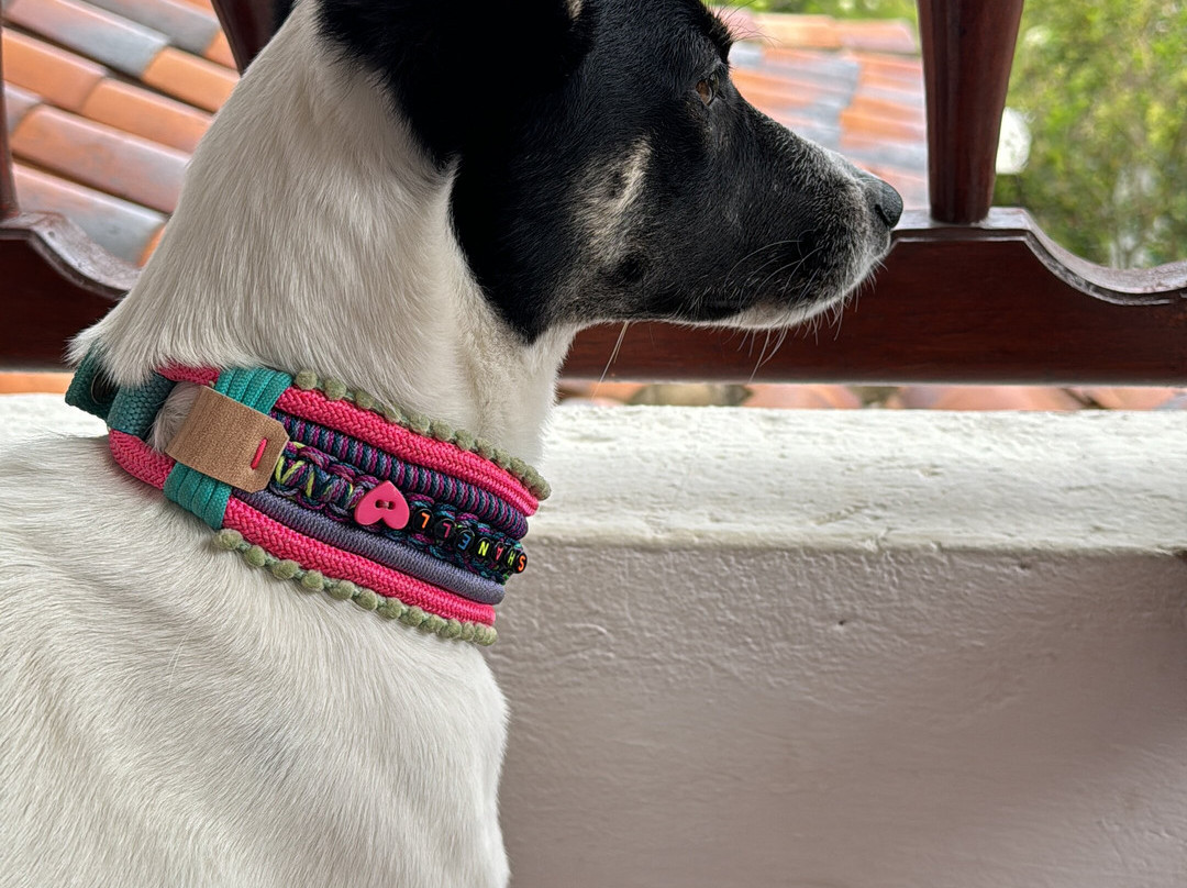 Casa Hotel San Pedro主图