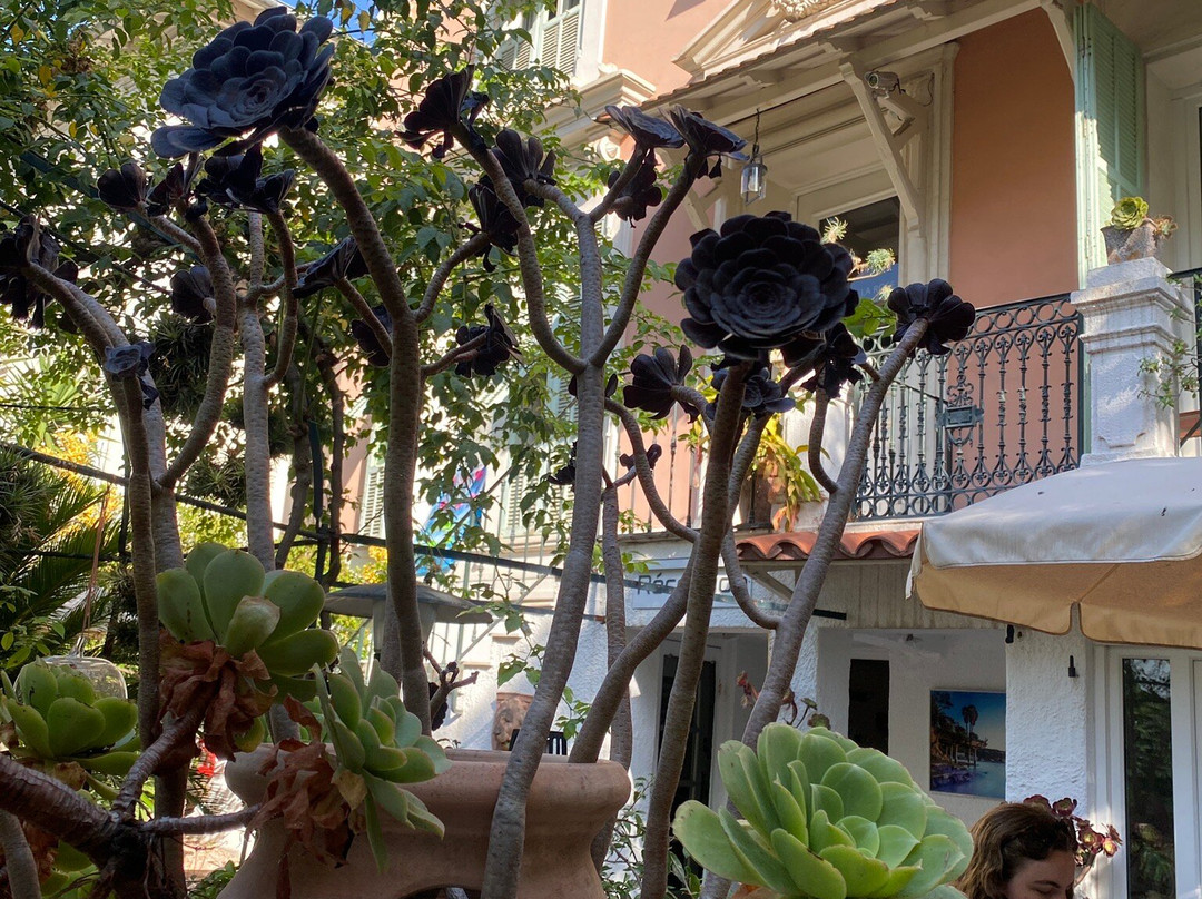 玫瑰别墅酒店主图