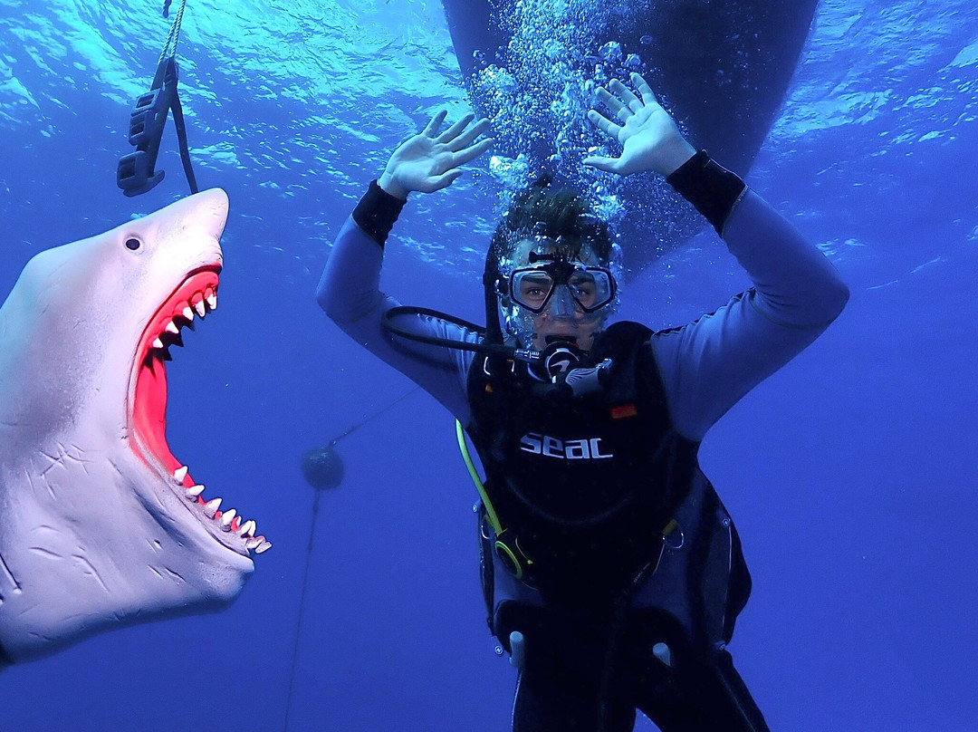 Maui Diamond Sea Sports-玛阿拉也亚必去景点