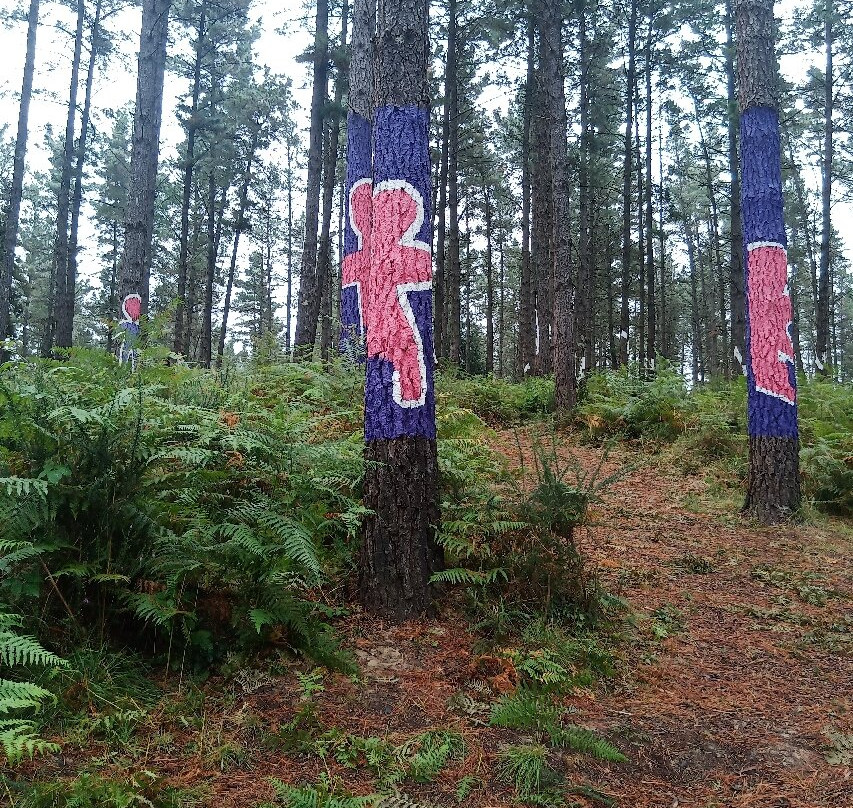 Bosque De Oma景点图片