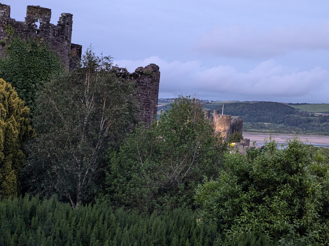 Bryn Guest House主图