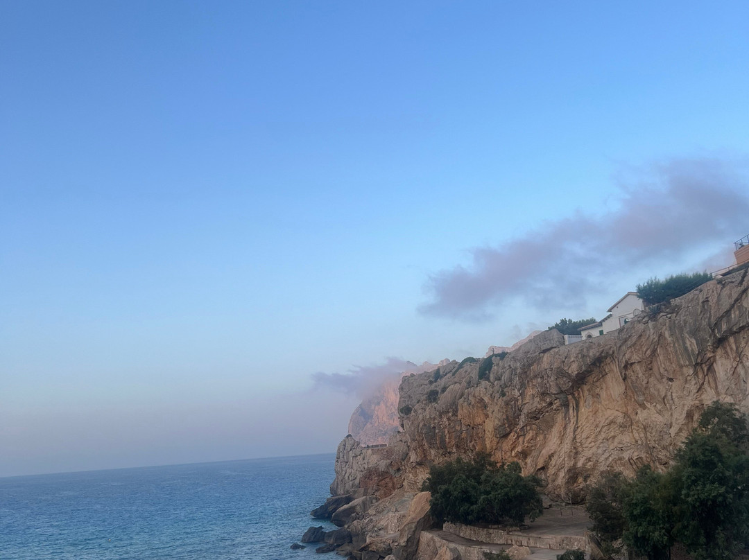 Globales Don Pedro主图