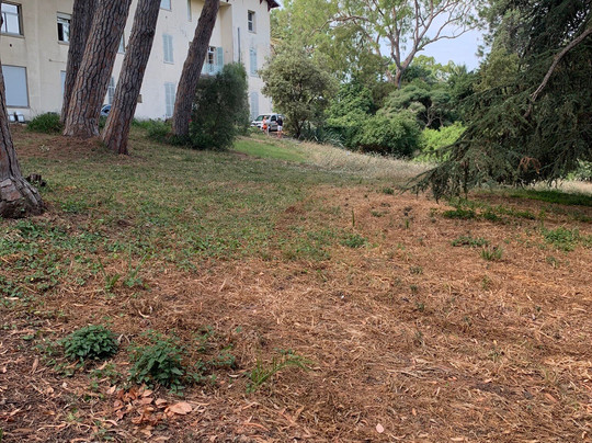 Thuret Garden (Jardin Thuret )-安提贝必去景点