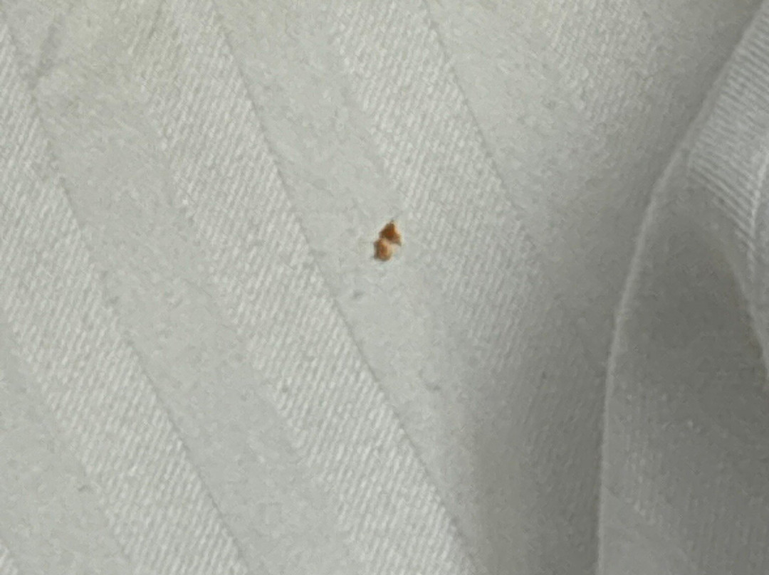 Microtel Inn & Suites By Wyndham Sayre主图