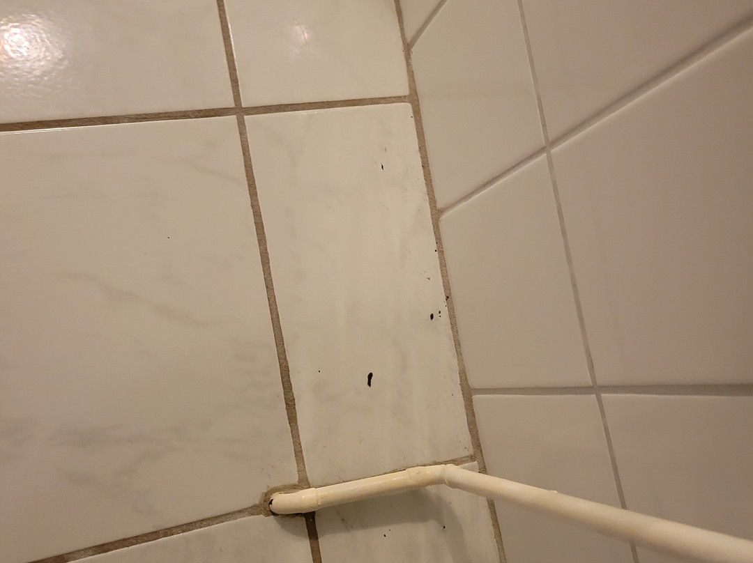 Alcor Hotel Feriendorf an der Ostsee主图