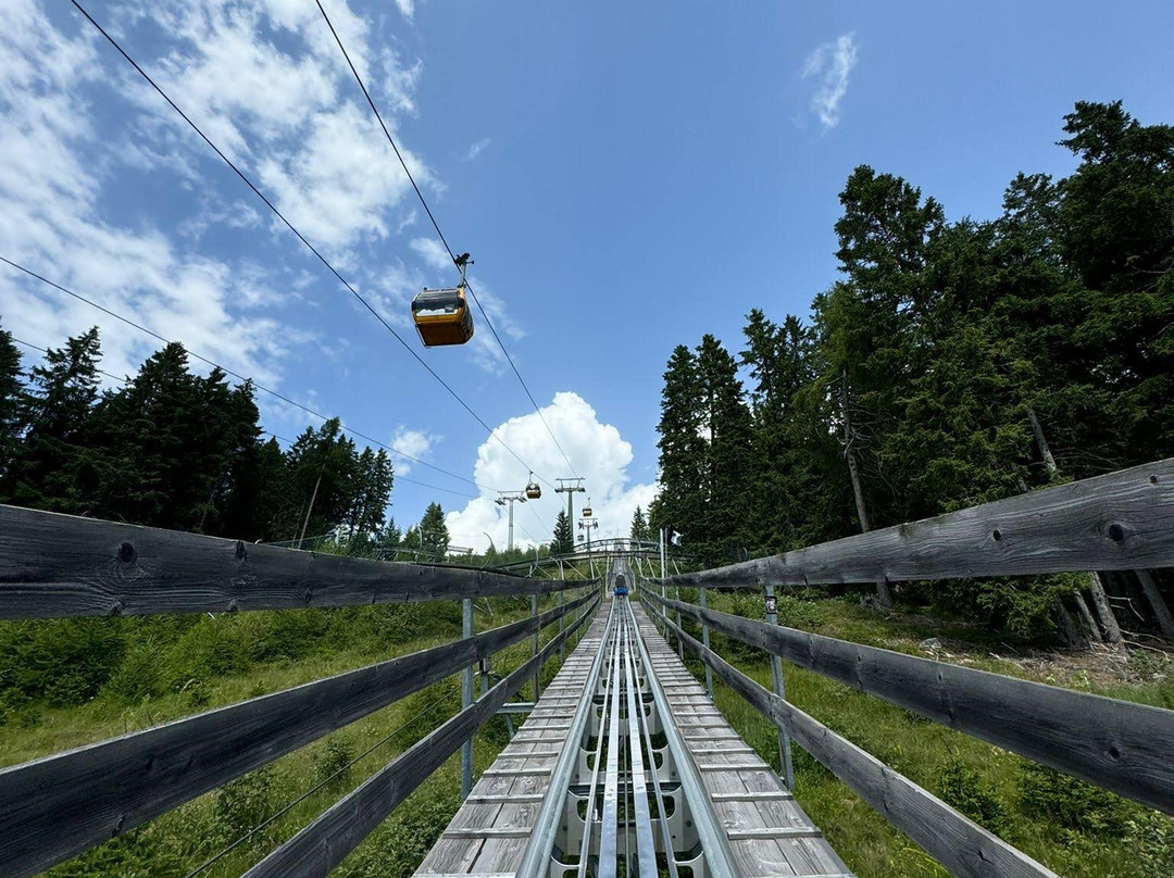 Alpin Bob Meran 2000-Avelengo必去景点