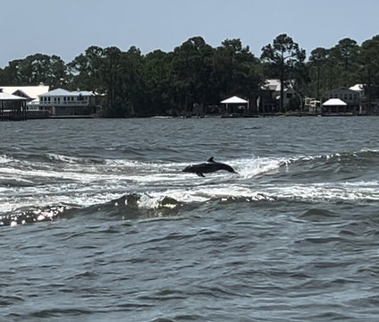 Caribe Marina & Watersports-橙色海湾必去景点