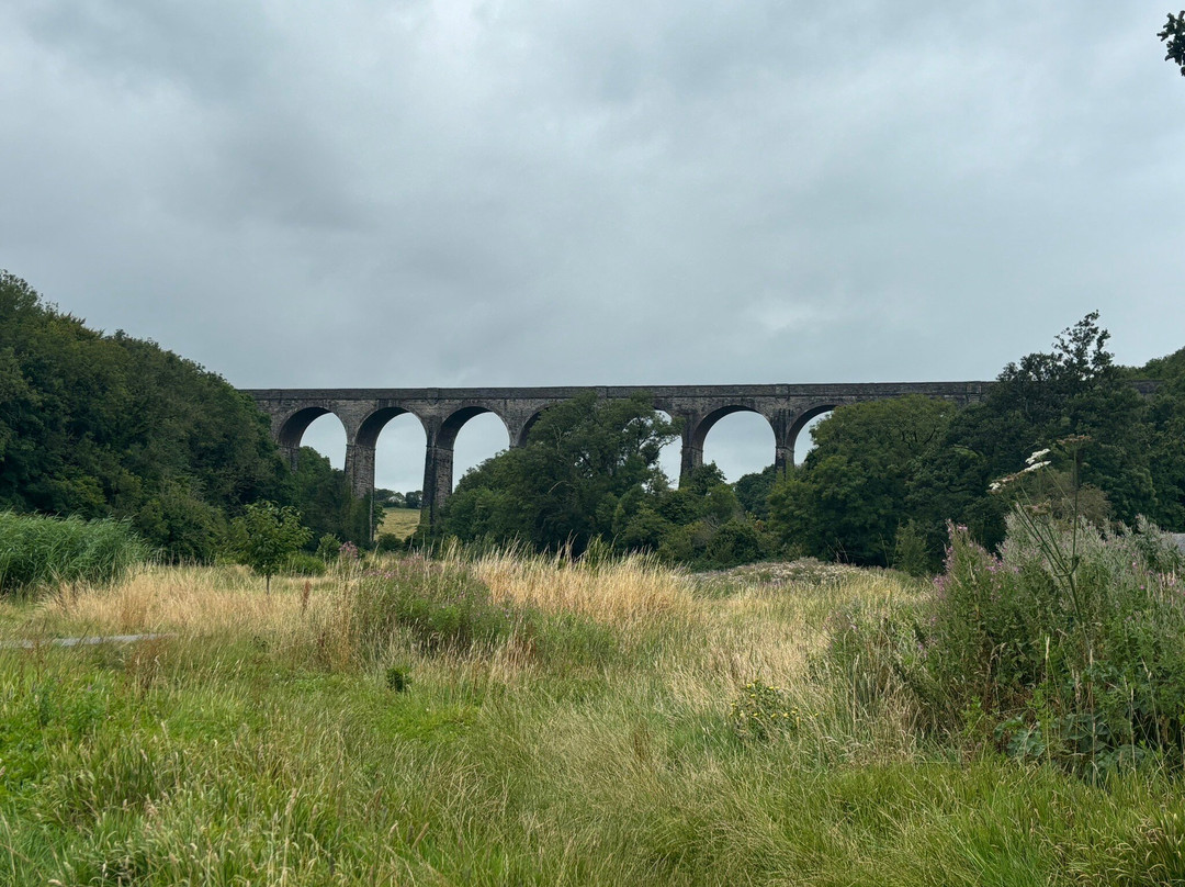 Porthkerry Country Park景点图片