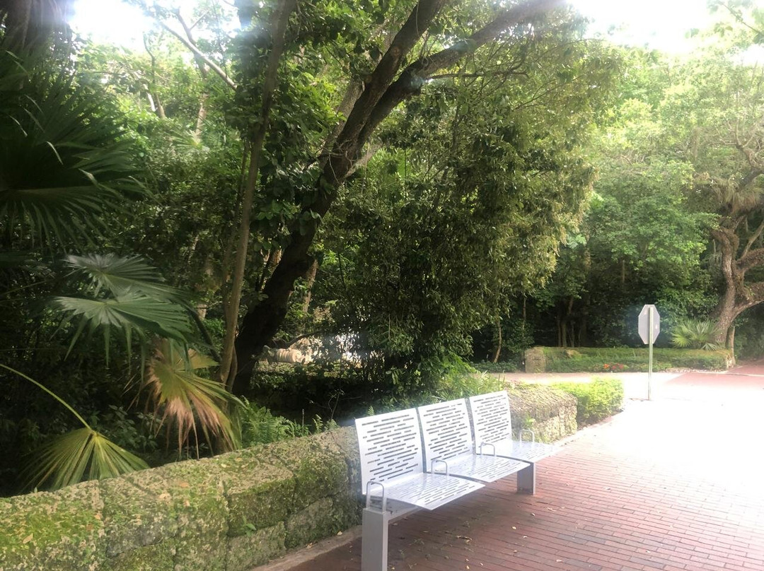 椰林景点图片