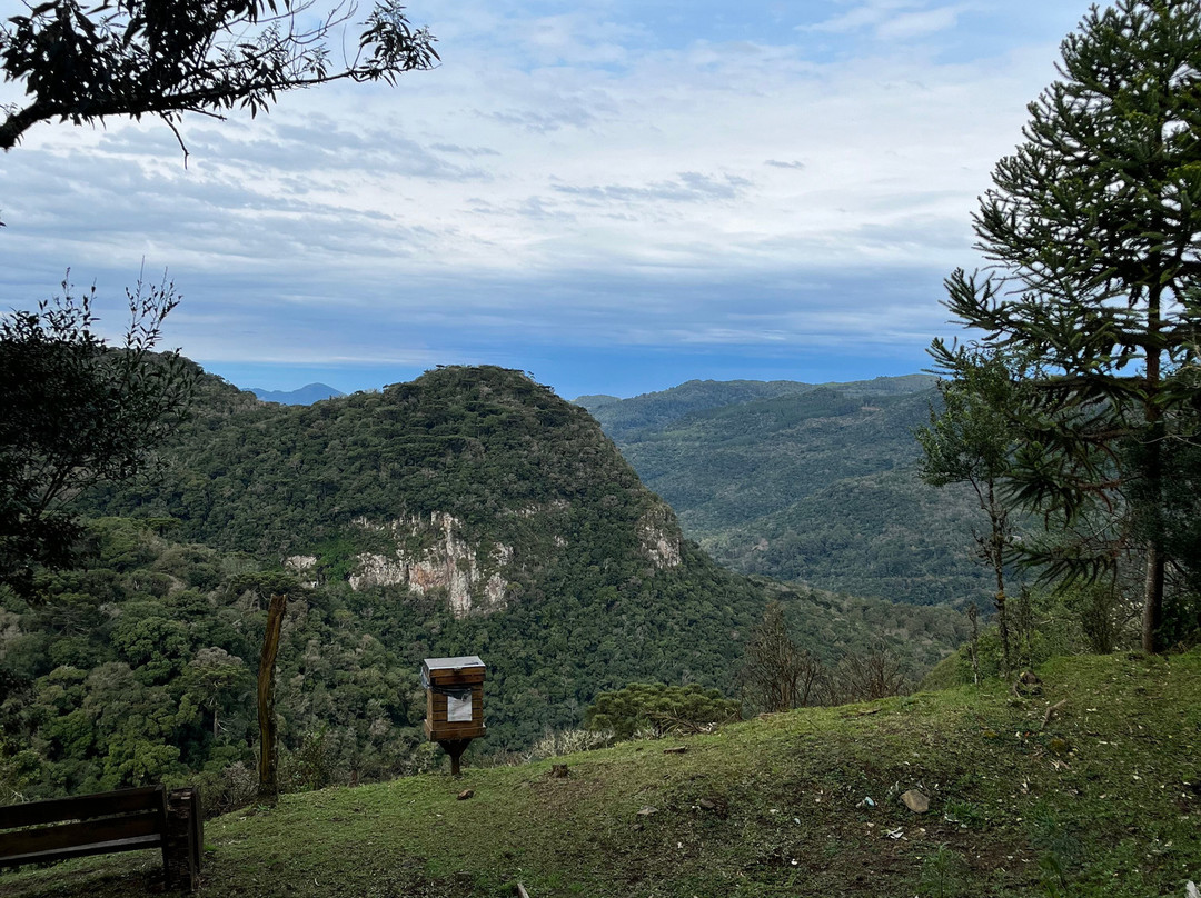 Parque Natural Municipal da Ronda