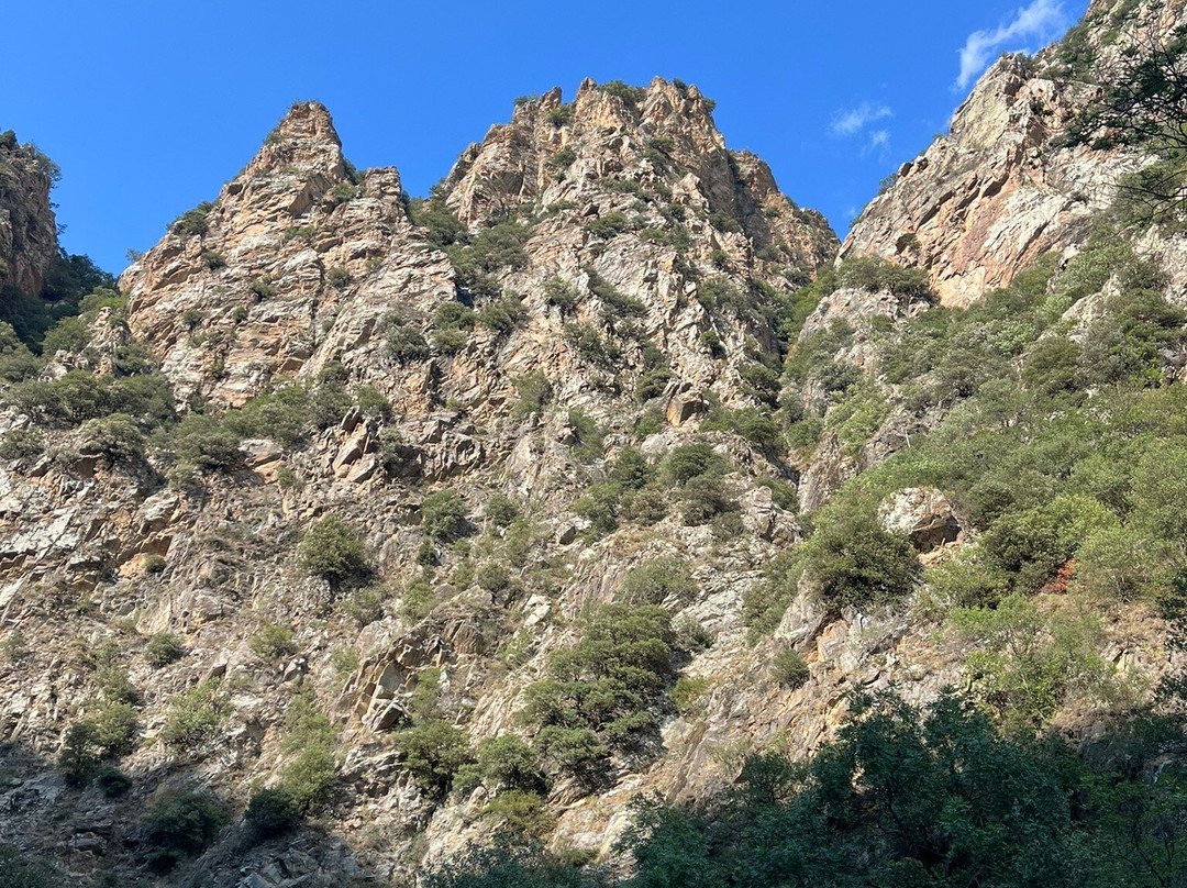 Gorges de Carança景点图片