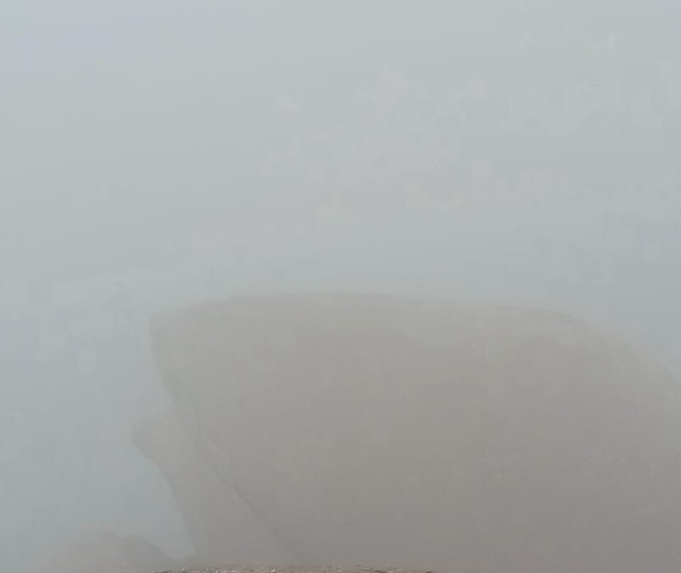 Taranga Hill Wildlife Sanctuary景点图片