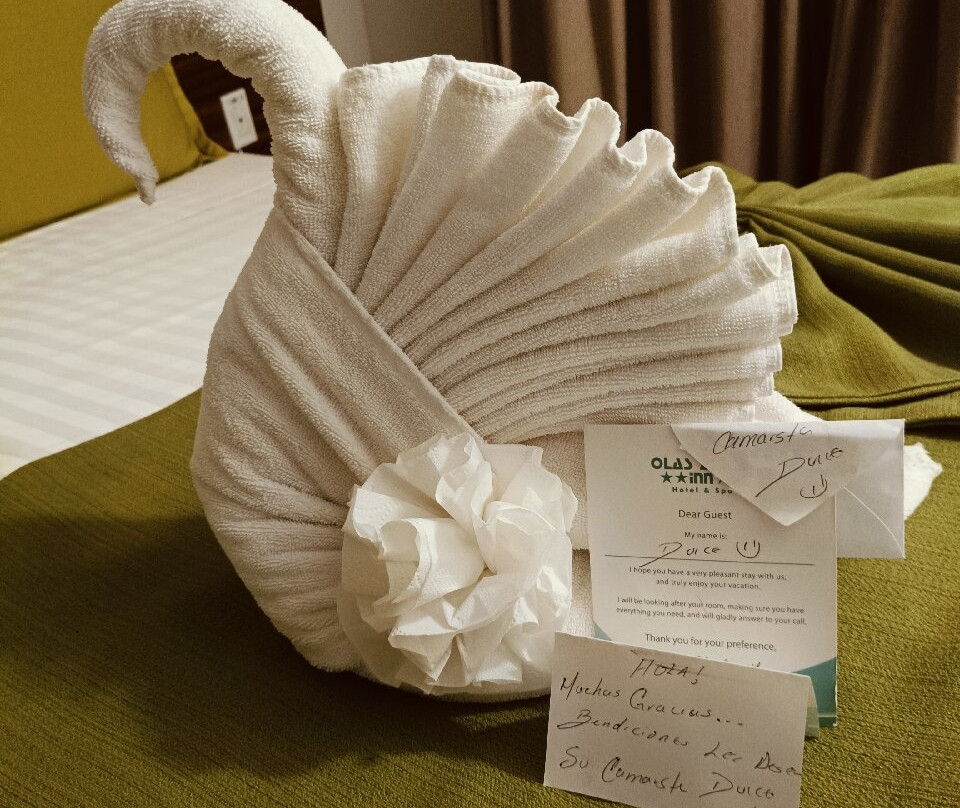 Olas Altas Inn Hotel & Spa主图