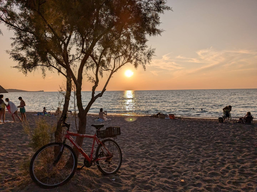 Plaza Palace Hotel主图