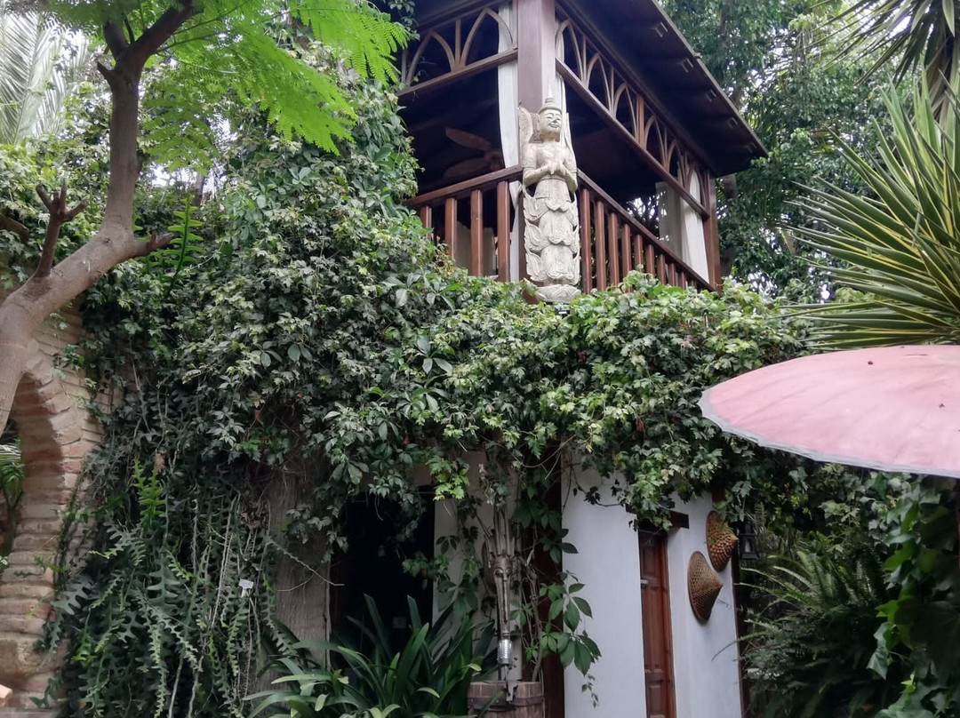 Abanicos Bar-San Juan de los Terreros必去景点